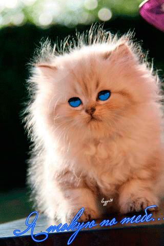 Анимационные открытки скучаю по тебе. Открытки я так скучаю скачать бесплатно.