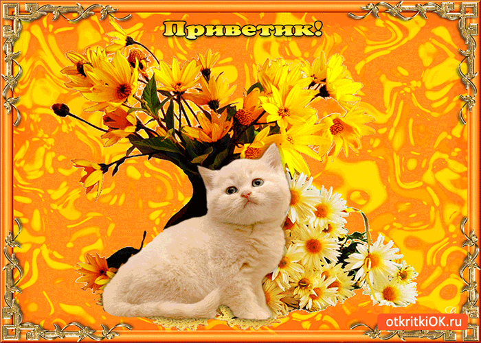 Красивые анимационные открытки с различными приветствиями скачать бесплатно.