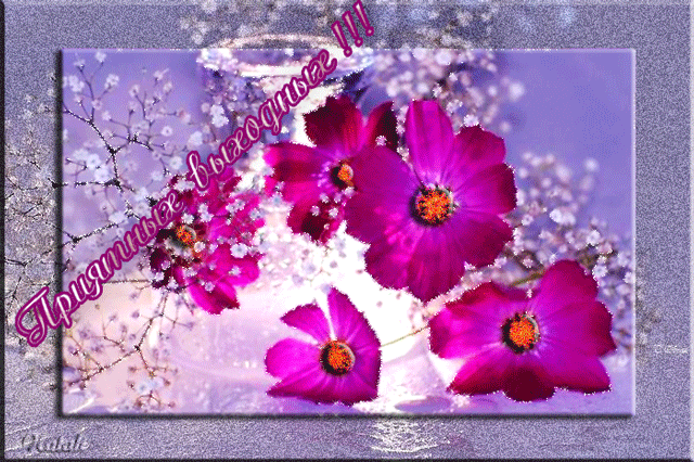 Красивые открытки замечательных выходных. Открытки хороших выходных скачать б...