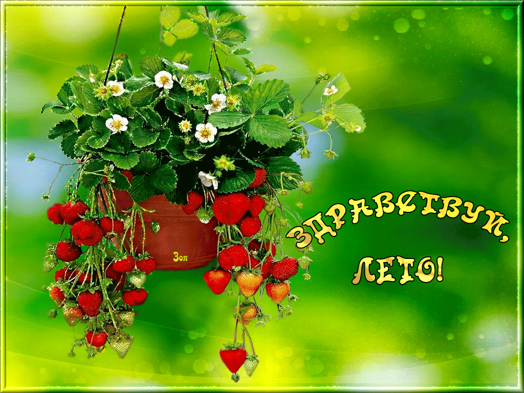 Открытки на тему лета скачать бесплатно. Анимационные открытки про лето.