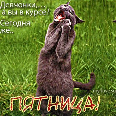 Прикольные открытки на пятницу. Открытки с пожеланиями на пятницу скачать бес...