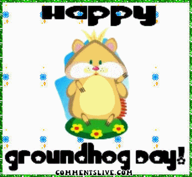 Веселые открытки с приколами на день сурка скачать бесплатно