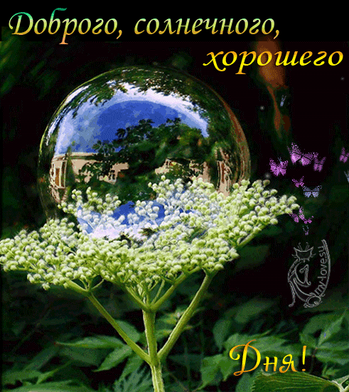 Открытки с пожеланиями хорошего дня. Скачать бесплатно открытки удачного дня.