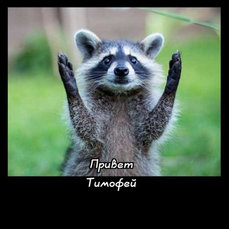 Анимационные открытки с именем Тимофей. Открытки с мужскими именами с поздрав...