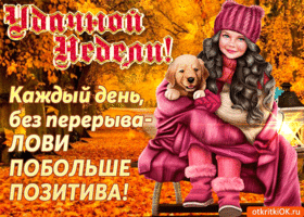 Забавные открытки с пожеланиями удачной недели. Открытки удачной недели скача...