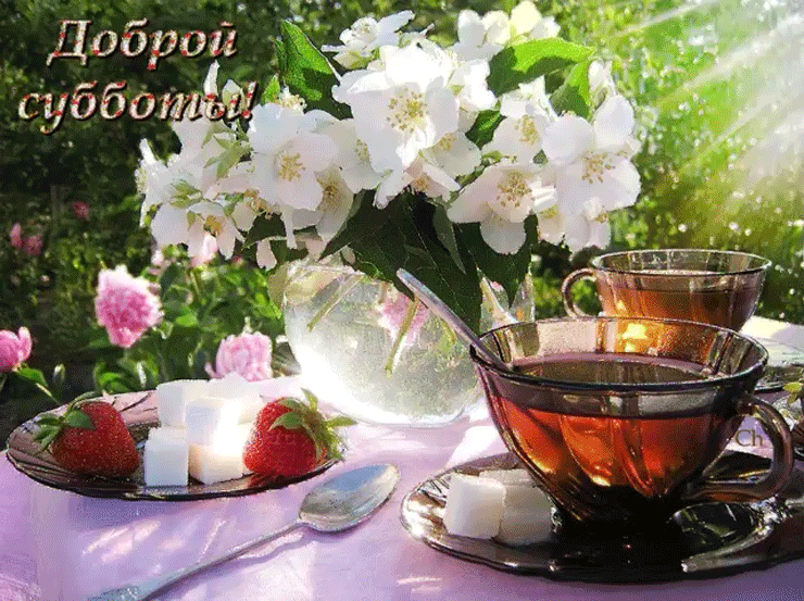 Интересные открытки на субботу. Веселые открытки на выходные.