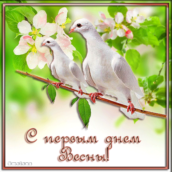 Красивые открытки с первым днем весны. Открытки с первым днем весны скачать б...