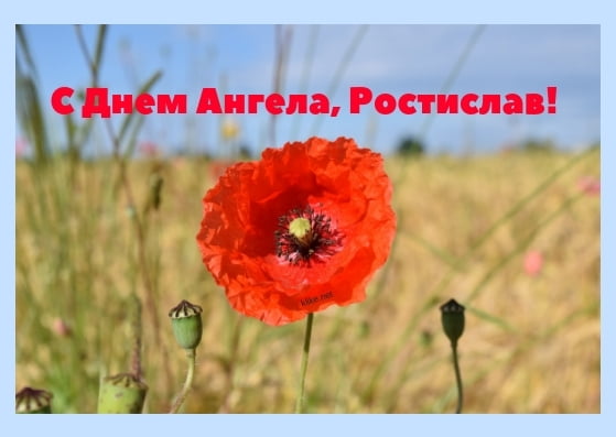 Открытки с именем Ростик скачать бесплатно. Открытки с мужскими именами. С дн...