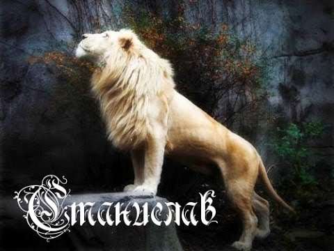 С днём рождения Станислав открытки. Открытки с именем Стас скачать бесплатно.