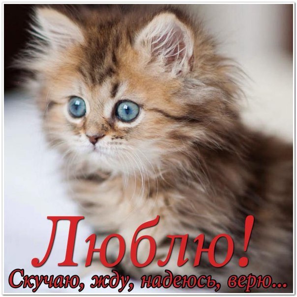 Анимационные открытки скучаю по тебе. Открытки я так скучаю скачать бесплатно.