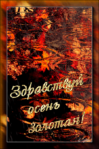 Красивые анимационные открытки на первый день осени скачать бесплатно