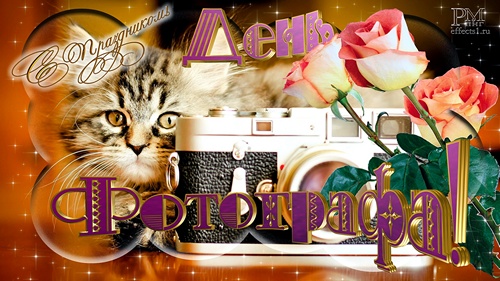 Поздравительные открытки с днем фотографа скачать бесплатно.