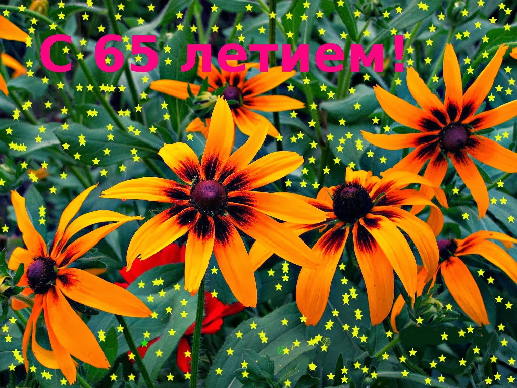 Юбилейные открытки с поздравлениями на 65 лет. Скачать бесплатно открытки с п...