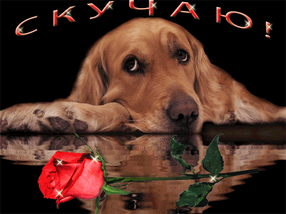 Анимационные открытки скучаю по тебе. Открытки я так скучаю скачать бесплатно.