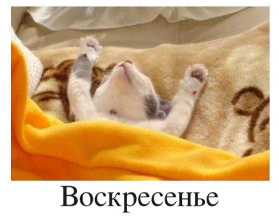 Мерцающие открытки про воскресенье. Открытки на воскресное утро.