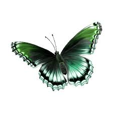 Мерцающие открытки с бабочками. Открытки с красивыми бабочками скачать беспла...