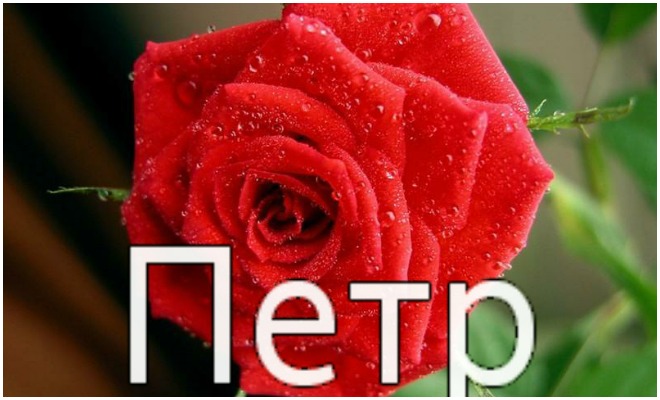 С днём рождения Петя открытки. Открытки с мужскими именами. Открытки с именем Пётр gif.