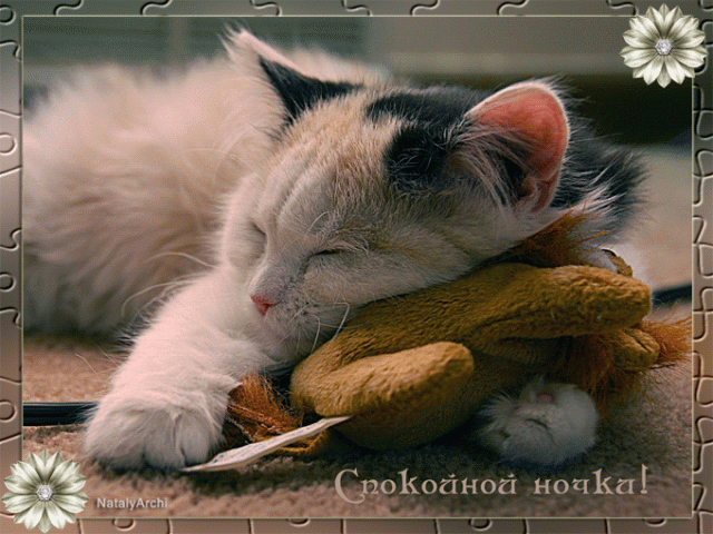 Gif анимации открыток спокойной ночи. Открытки с пожеланиями на ночь.