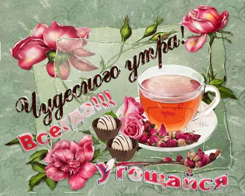 Открытка с пожеланиями доброго утра на каждый день скачать бесплатно 