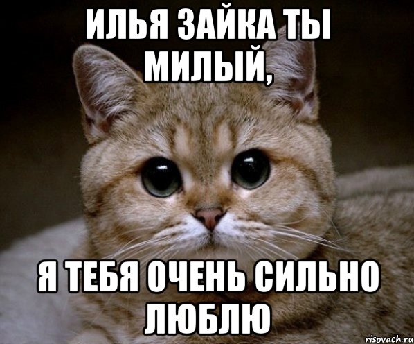 Поздравительные открытки с мужскими именами. С днём рождения Илюша открытки. ...