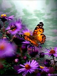 Мерцающие открытки с бабочками. Открытки с красивыми бабочками скачать беспла...