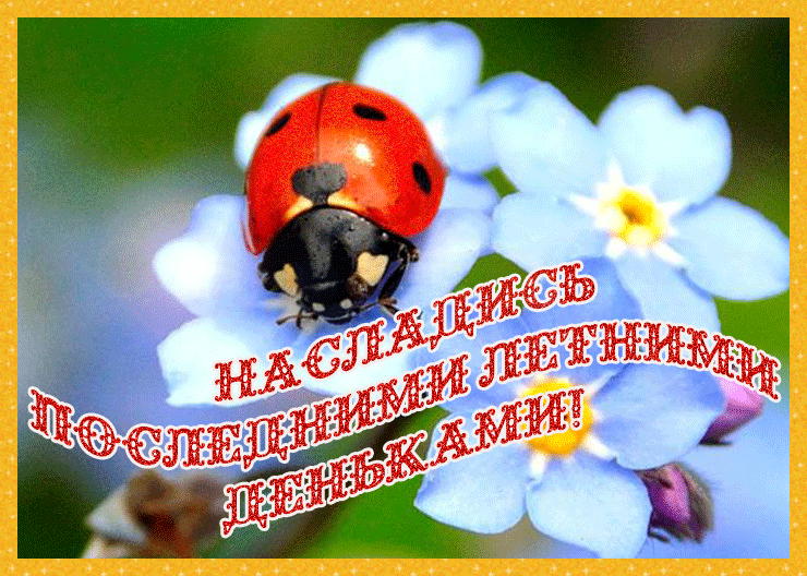 Открытки с последним днем лета скачать бесплатно. Открытки прощай лето.