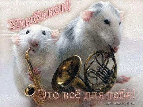 Весёлые открытки с пожеланиями улыбнись. Открытки с улыбкой скачать бесплатно.