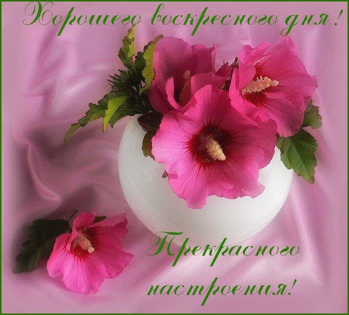 Мерцающие открытки про воскресенье. Открытки на воскресное утро.