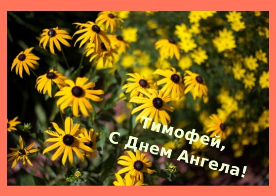 Анимационные открытки с именем Тимофей. Открытки с мужскими именами с поздрав...