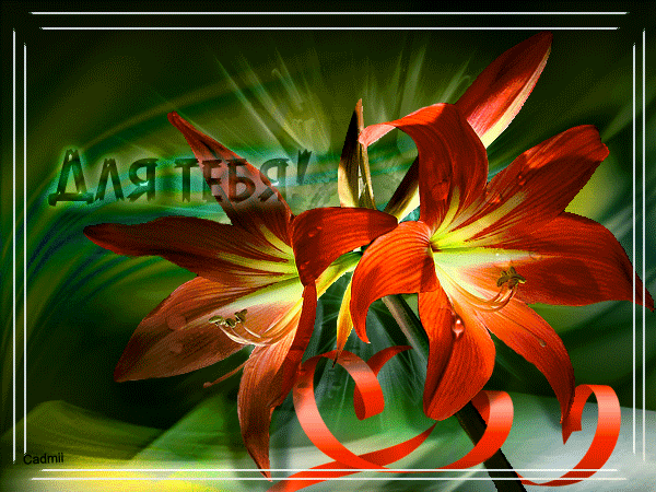 Красивые открытки для тебя скачать бесплатно. Анимационные открытки тебе gif