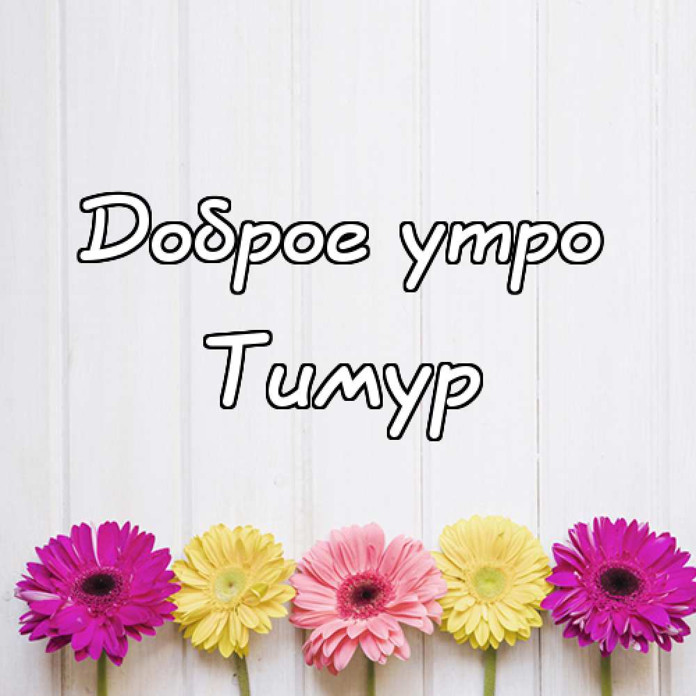 Открытки с именем Тима. С днём рождения Тимур открытки. Поздравительные Откры...