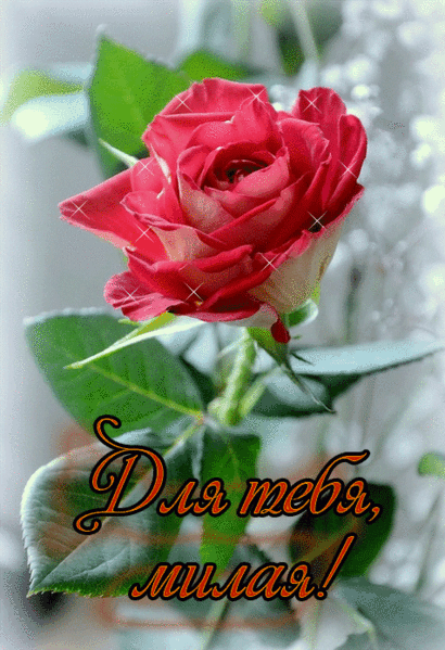 Красивые открытки для тебя скачать бесплатно. Анимационные открытки тебе gif