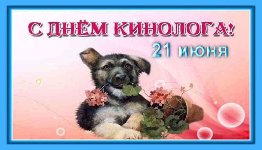 Открытки с пожеланиями на день кинолога скачать бесплатно.    