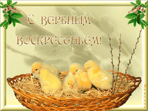 Поздравительные открытки с Вербным Воскресеньем скачать бесплатно.