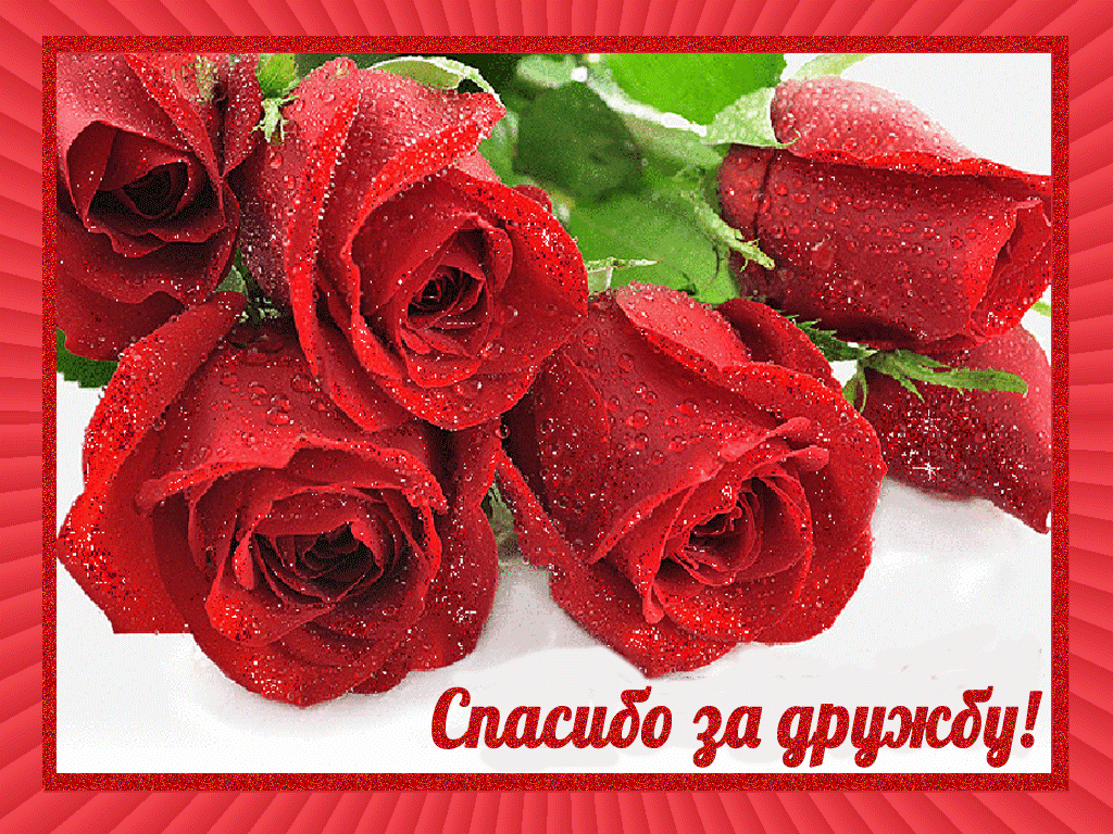 Красивые открытки для любимых друзей. Открытки о дружбе скачать бесплатно.