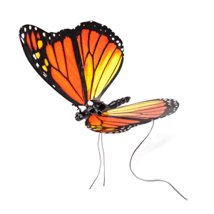 Мерцающие открытки с бабочками. Открытки с красивыми бабочками скачать беспла...