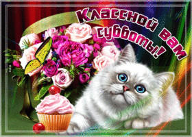 Интересные открытки на субботу. Веселые открытки на выходные.