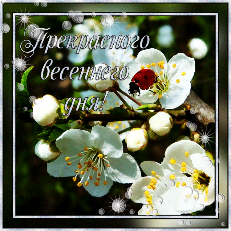 Красивые мерцающие открытки на весеннюю тематику. Скачать бесплатно открытки ...