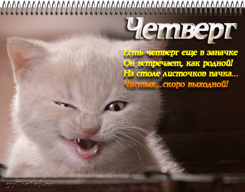 Анимационные открытки доброго утра и отличного четверга скачать бесплатно.
