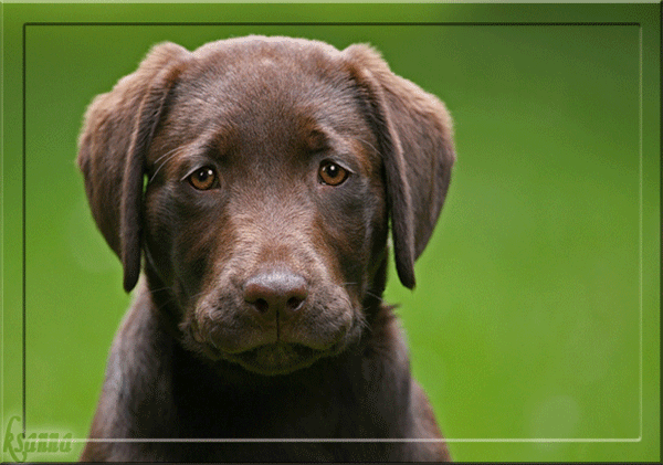 Анимационные открытки скучаю по тебе. Открытки я так скучаю скачать бесплатно.