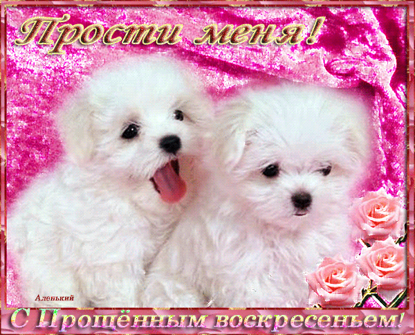 Красивые открытки с извинениями скачать бесплатно. Открытки прости меня gif.