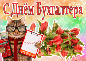 Анимационные поздравительные открытки с днем бухгалтера скачать бесплатно.