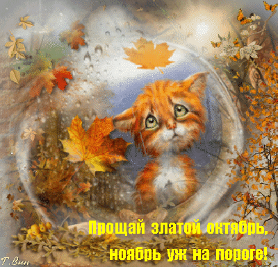 Оригинальные открытки с изображением осени. Открытки осень скачать бесплатно.