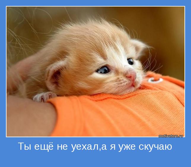 Анимационные открытки скучаю по тебе. Открытки я так скучаю скачать бесплатно.