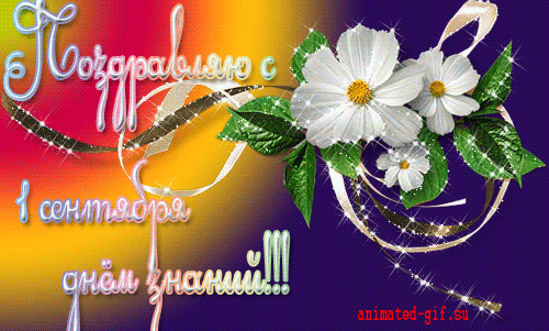 Открытки с поздравлениями на день знаний скачать бесплатно. 