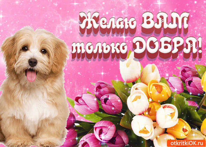 Чудесные открытки с красивыми пожеланиями на день доброты скачать бесплатно.