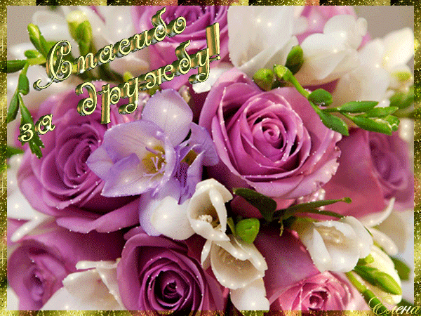 Красивые открытки для любимых друзей. Открытки о дружбе скачать бесплатно.