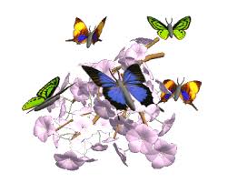 Мерцающие открытки с бабочками. Открытки с красивыми бабочками скачать беспла...