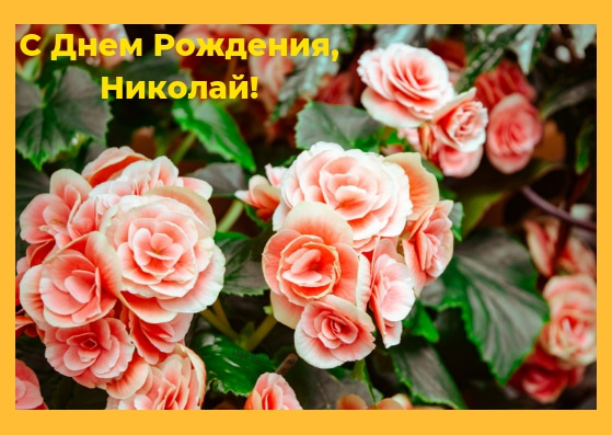 Поздравительные открытки с именем Николай. Открытки с днём рождения Коля.