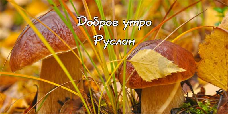 Открытки с днём рождения Руслан. Открытки с именем Руся. Открытки с именем Ру...